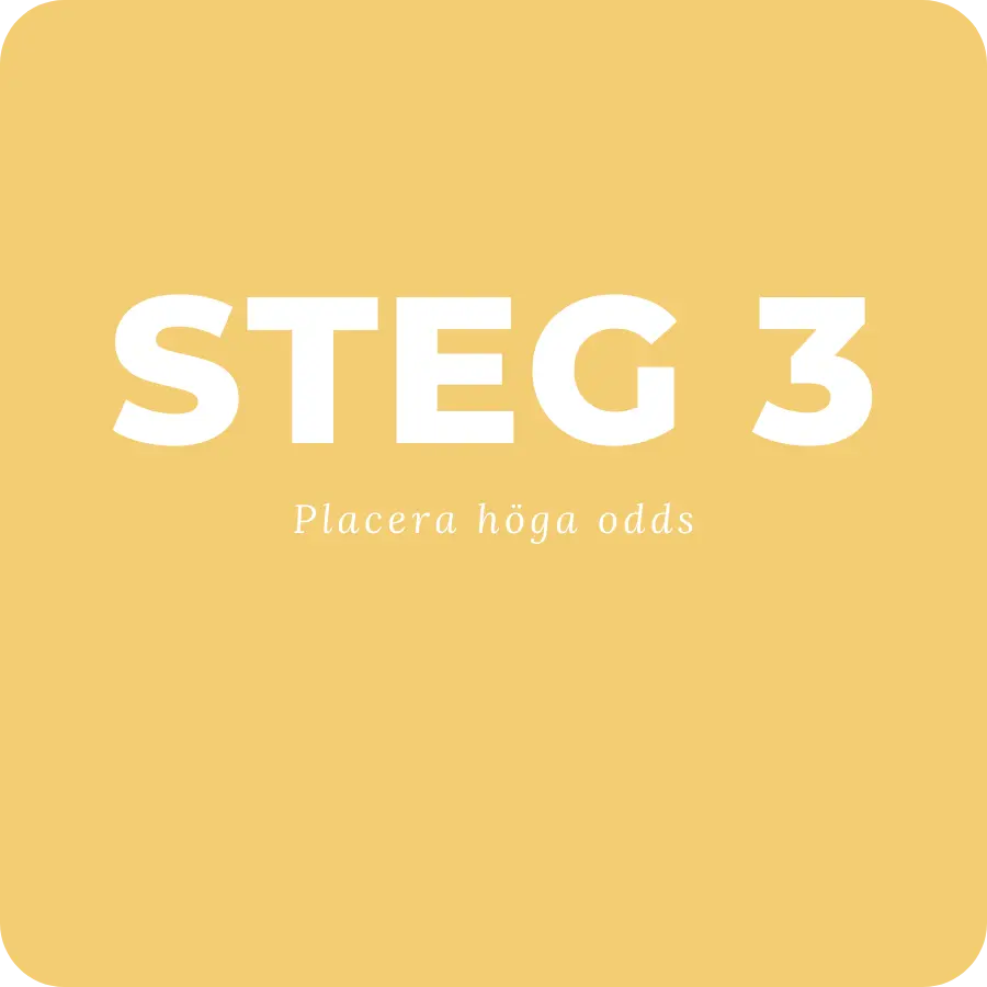 Steg3